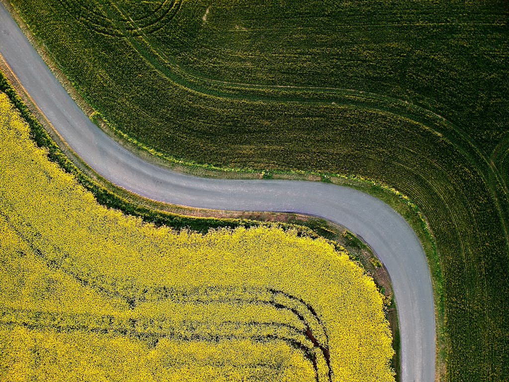 Aerial Photography of Country Road Between Green Grass Field